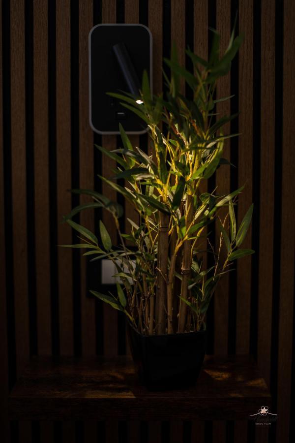 Humboldt Luxury Rooms טאורמינה מראה חיצוני תמונה