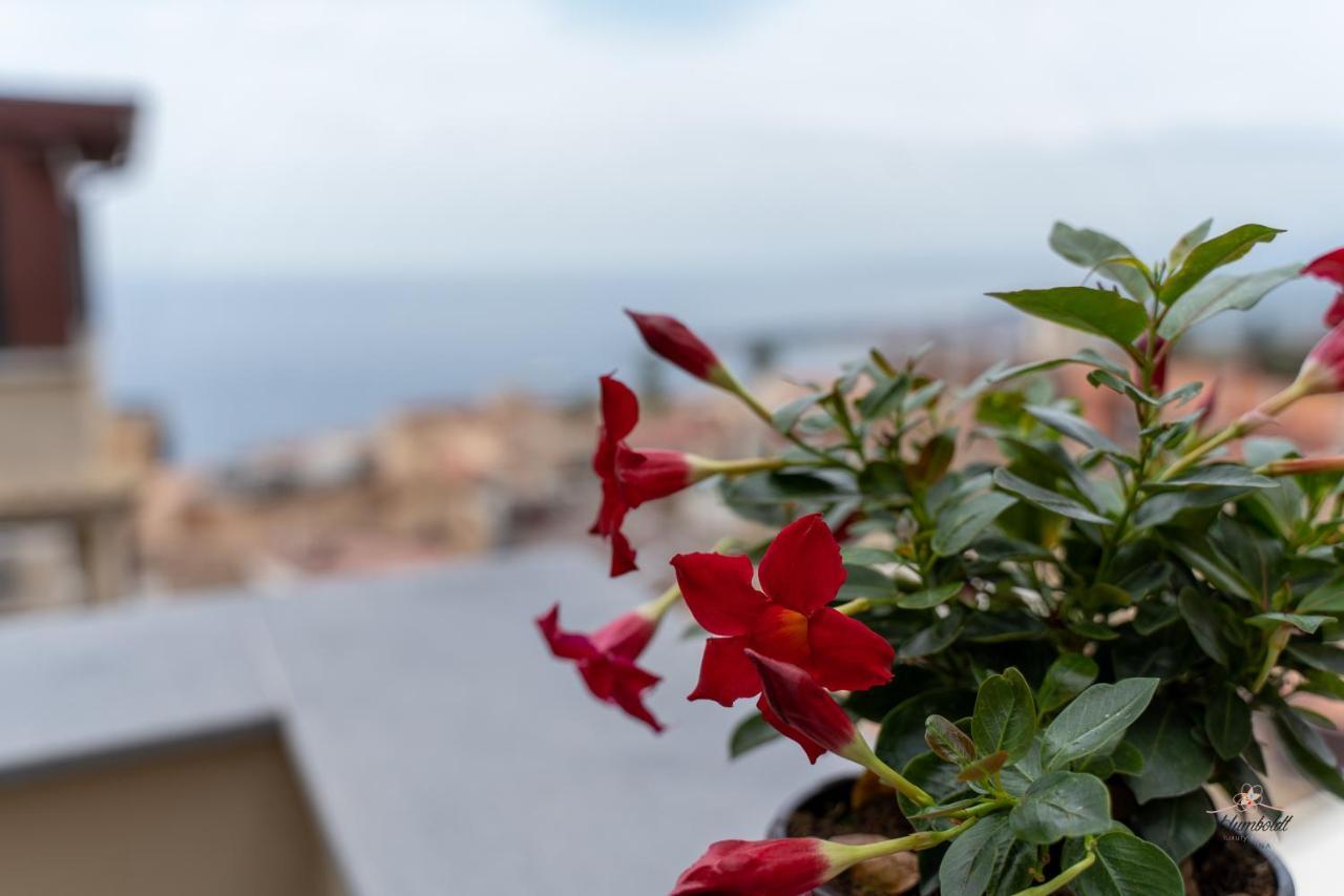 Humboldt Luxury Rooms טאורמינה מראה חיצוני תמונה